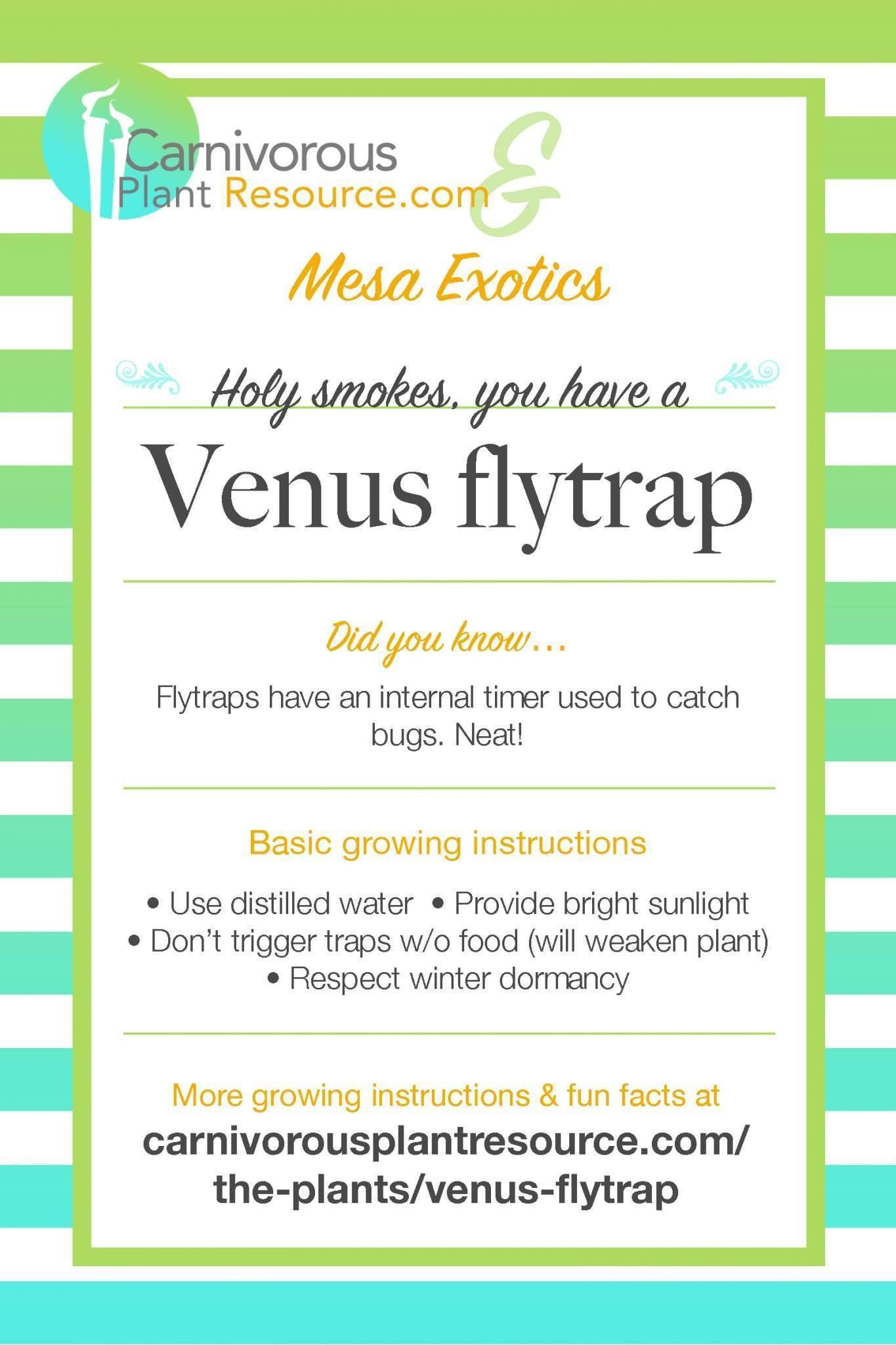 CPR and Mesa Exotics Venus flytrap flier