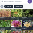 collecto.rs plant profile page screenshot